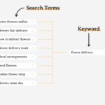 keyword vs search term