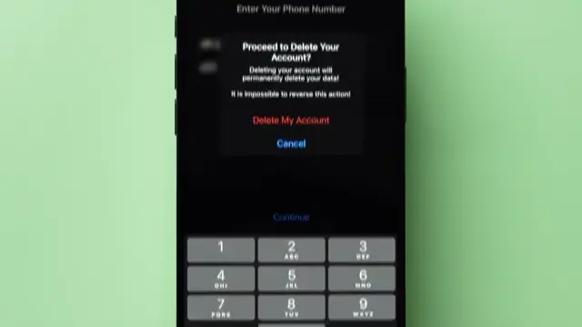 Final confirmation dialog to delete account.